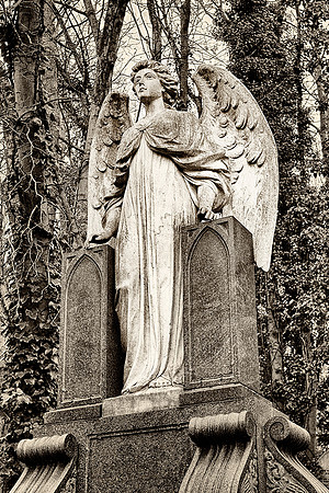 Angel
