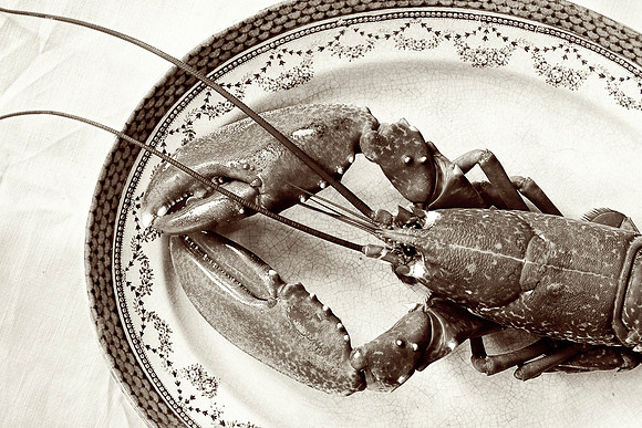 Lobster